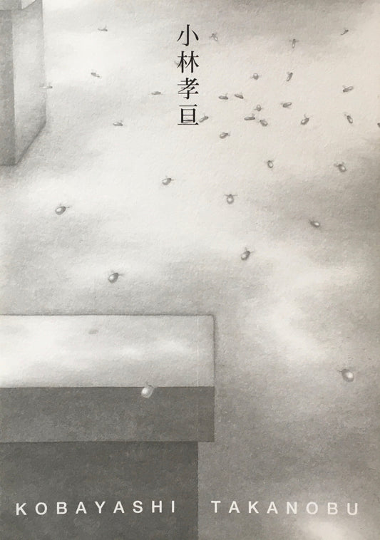 小林孝亘　1996　西村画廊