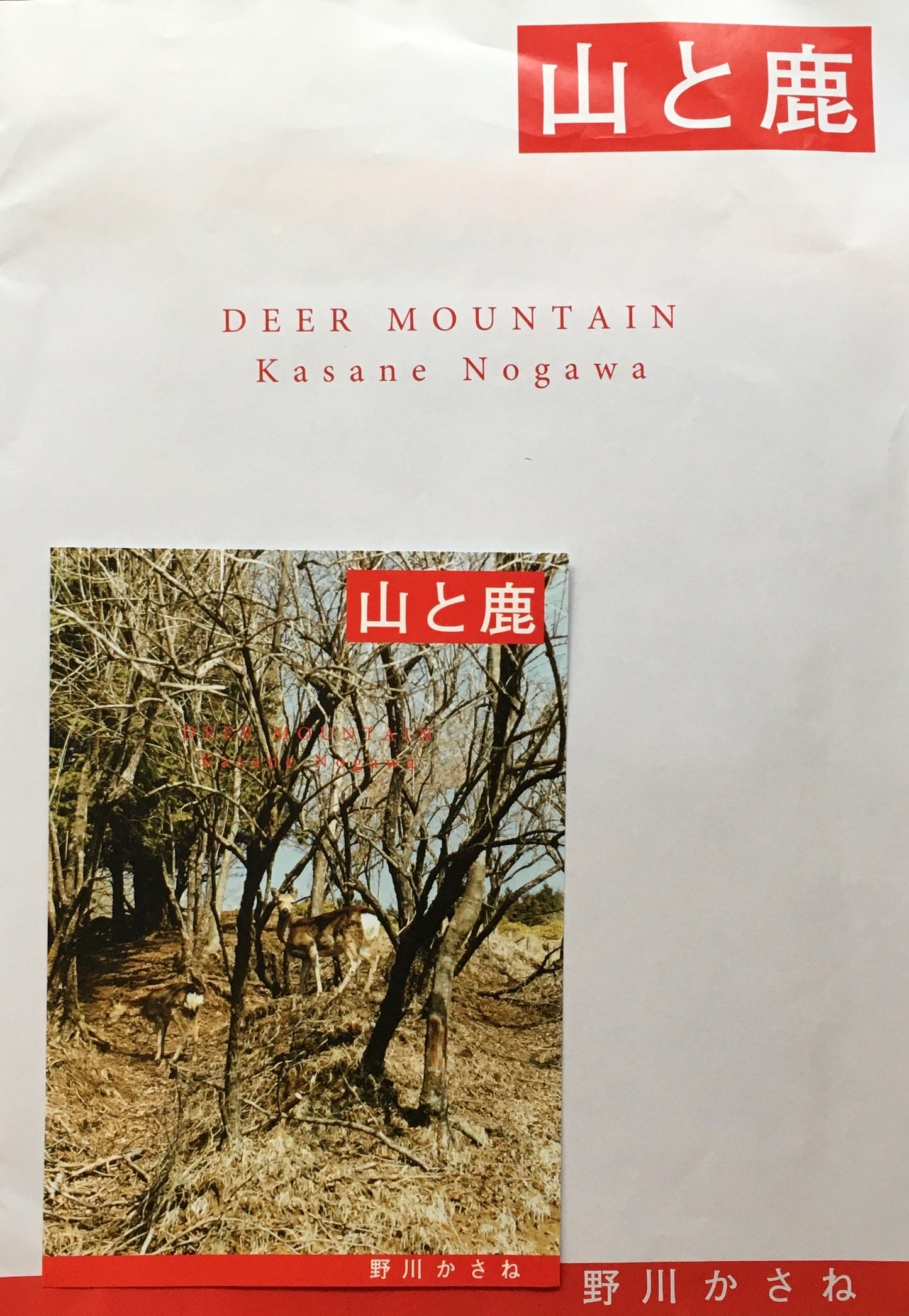 山と鹿　野川かさね写真集　2008年初版　限定1000部