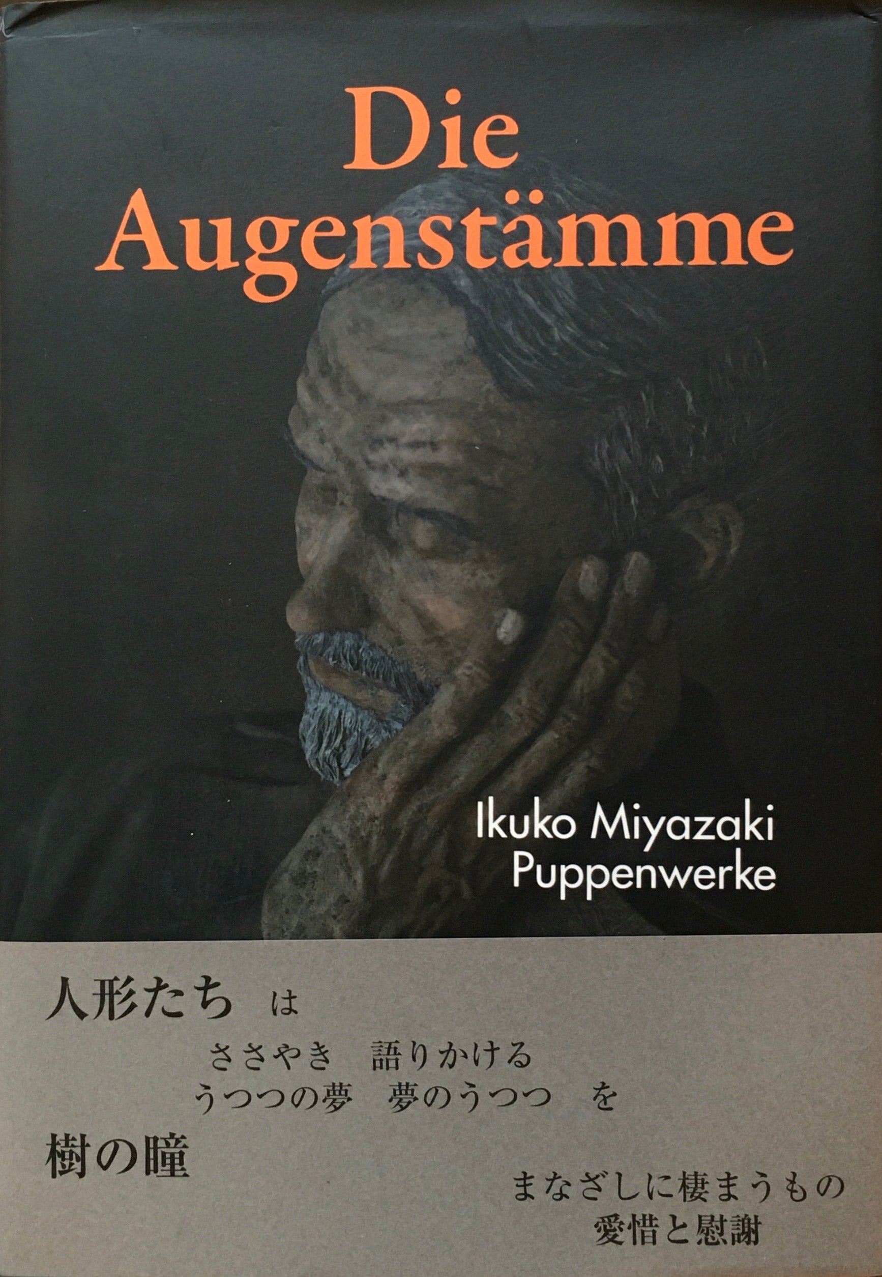 樹の瞳　宮崎郁子作品集