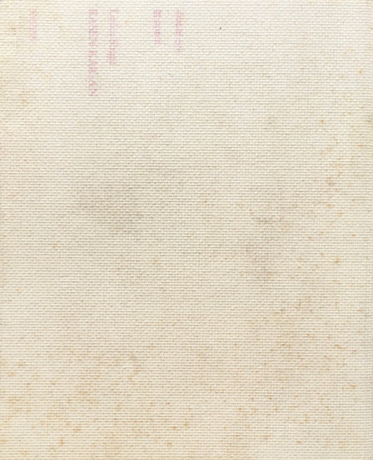 螺旋海岸 notebook 志賀理江子