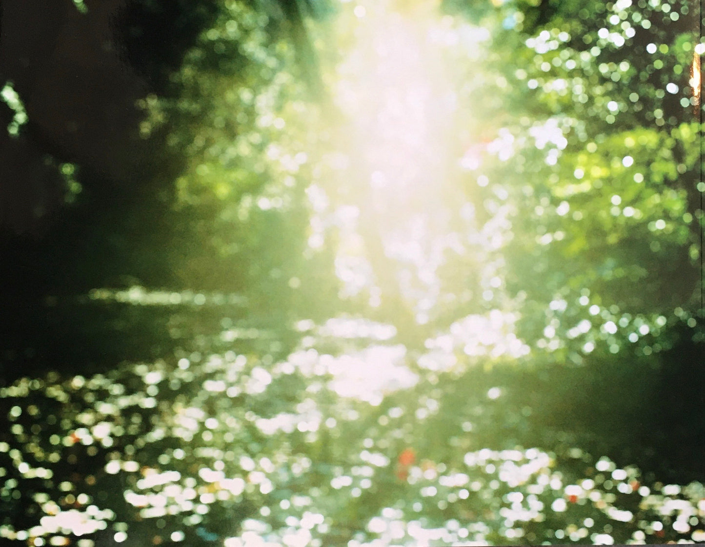 感動　齋藤陽道 写真集