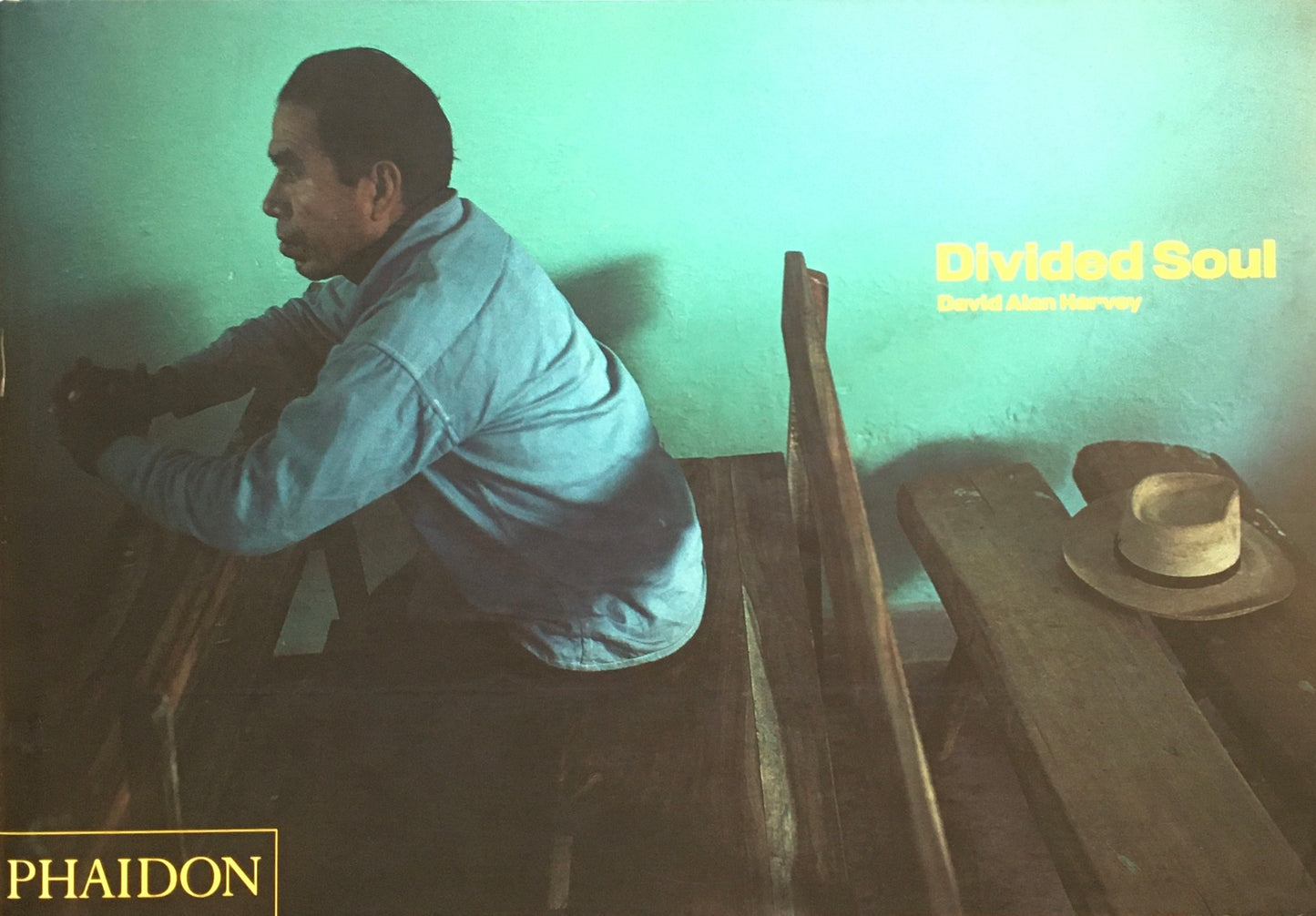 Divided Soul　David Alan Harvey