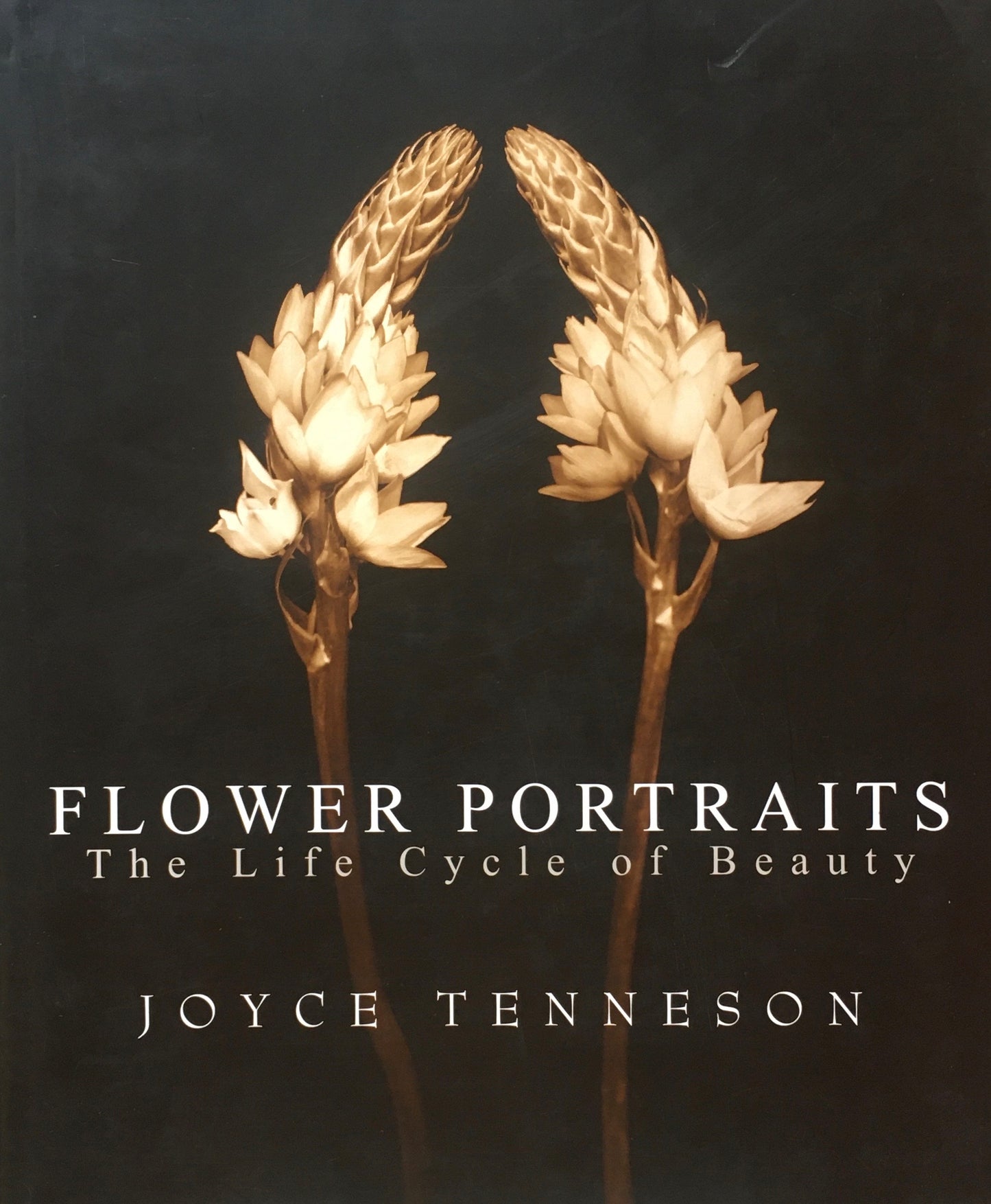 Flower Portraits　The Life Cycle of Beauty　Joyce Tenneson