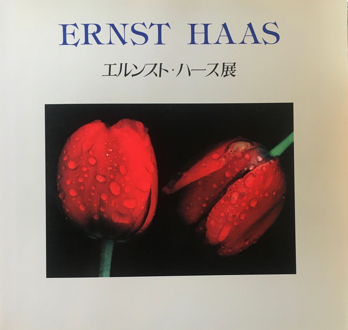 エルンスト・ハース展　写真で奏でる色彩の詩