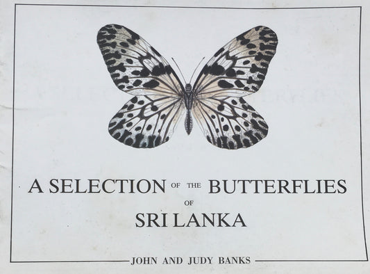 A SELECTION OF THE BUTTERFLIES SRI LANKA　JOHN AND JUDY BANKS