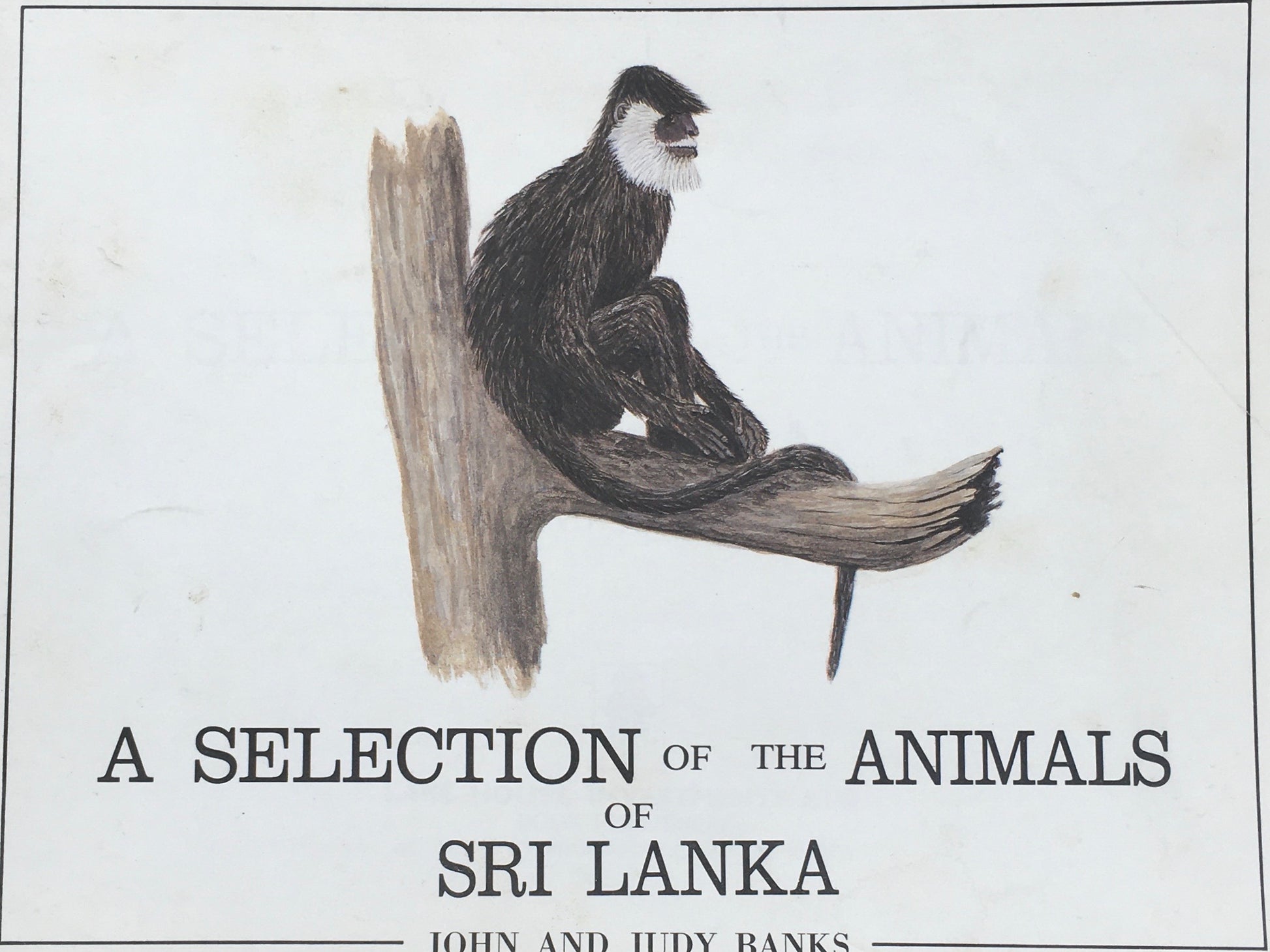 A SELECTION OF THE ANIMALS SRI LANKA　JOHN AND JUDY BANKS