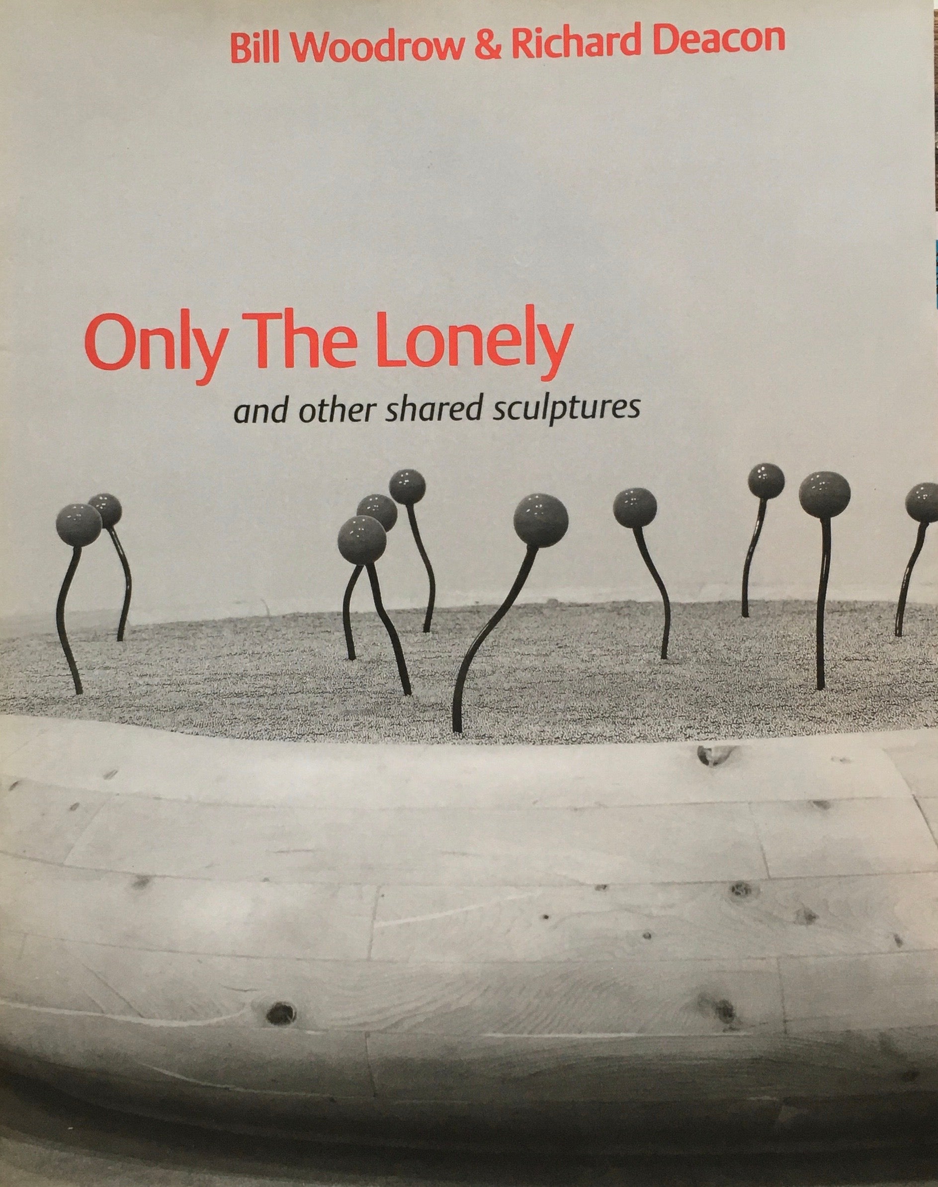 Only The Lonely　and other shared sculptures　Bill Woodrow&Richard Deacon