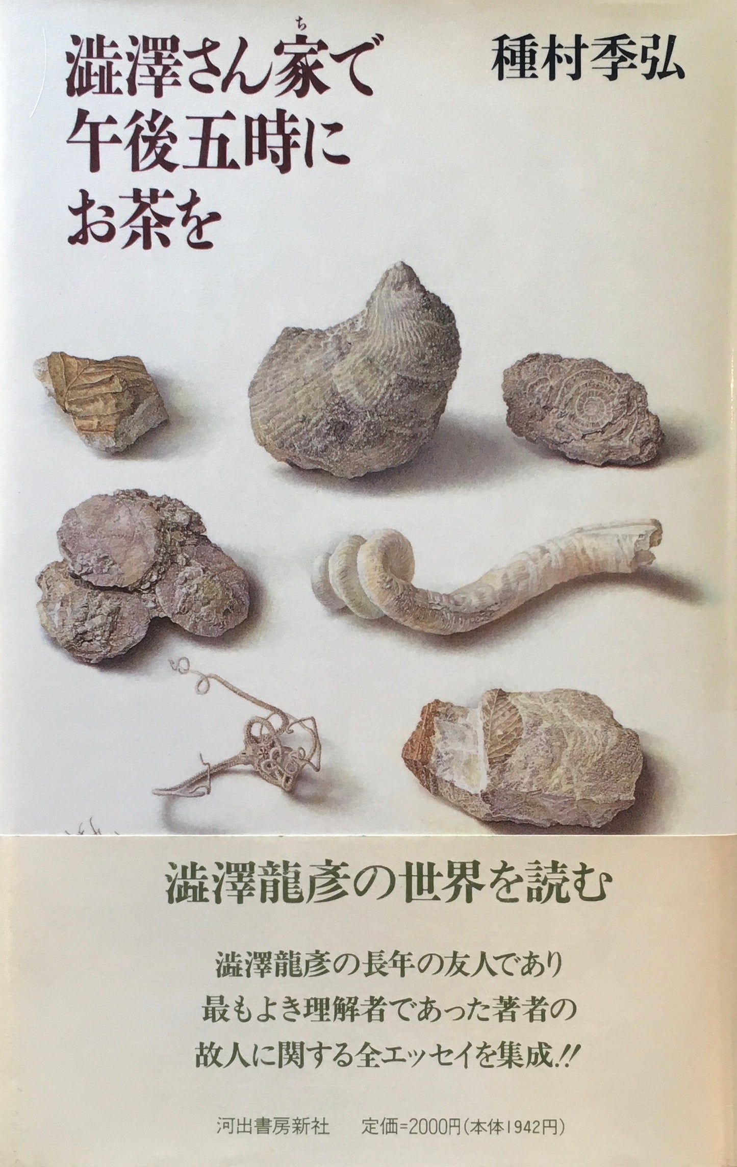 澁澤さん家で午後五時にお茶を　種村季弘