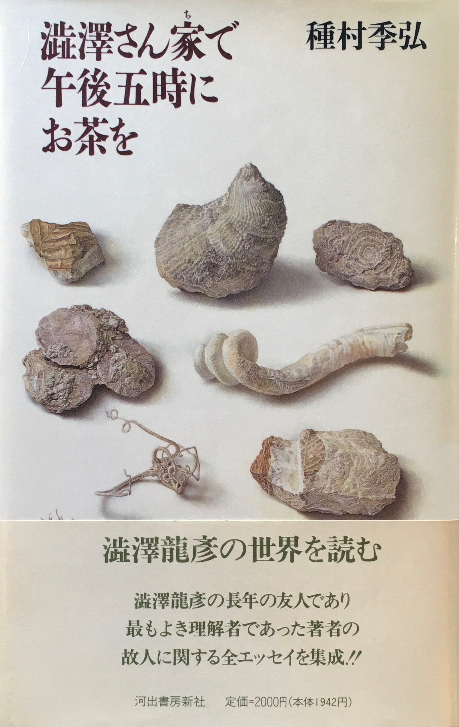 澁澤さん家で午後五時にお茶を　種村季弘