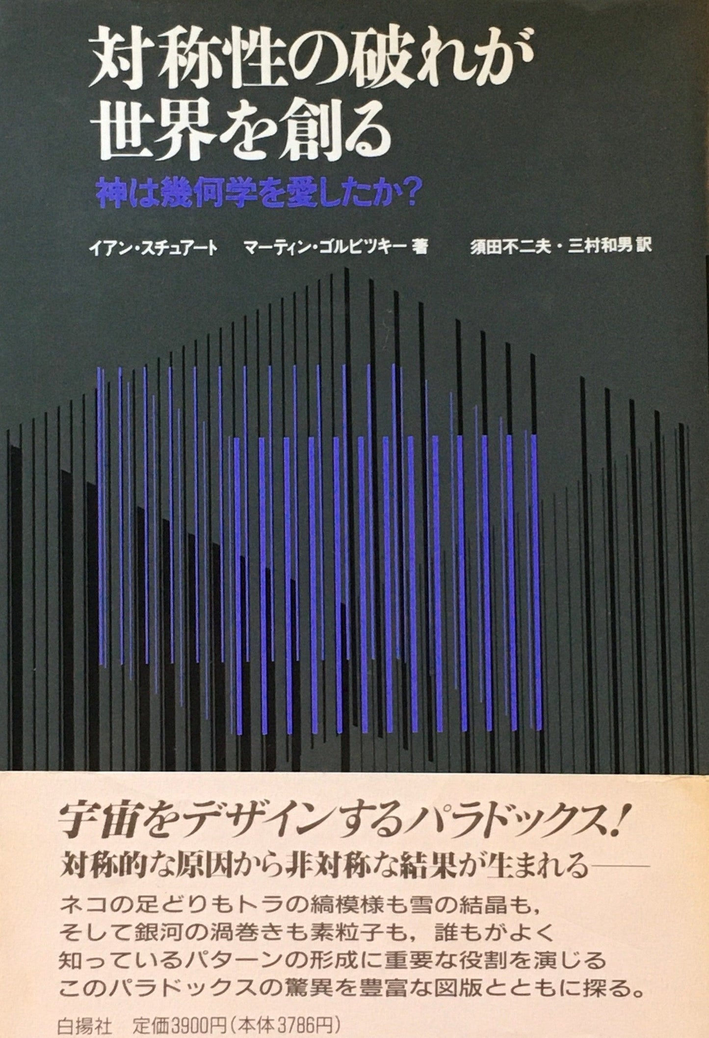 対称性の破れが世界を創る　神は幾何学を愛したか？　イアン・スチュアート　マーティン・ゴルビツキー 著　須田不二夫　三村和男 訳