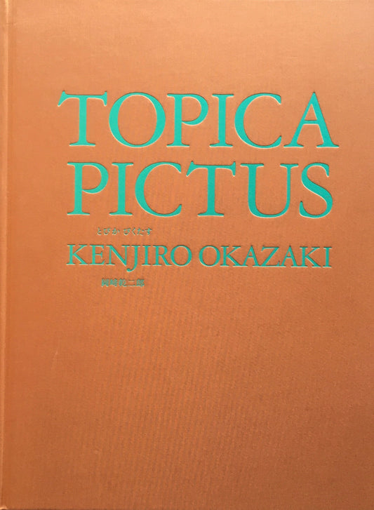 TOPICA PICTUS　とぴか ぴくたす　岡崎乾二郎