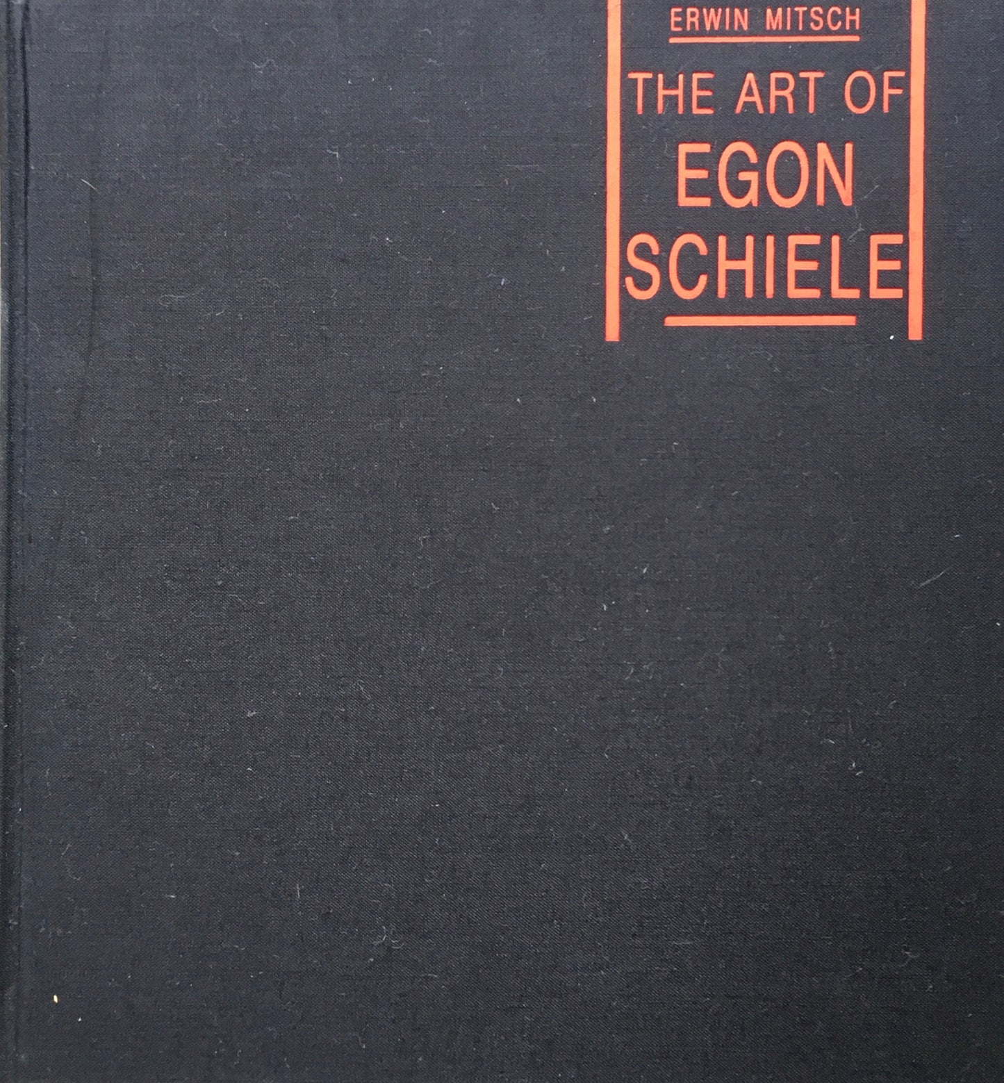 THE ART OF EGON SCHIELE　ERWIN MITSCH　エゴン・シーレ　カバー欠