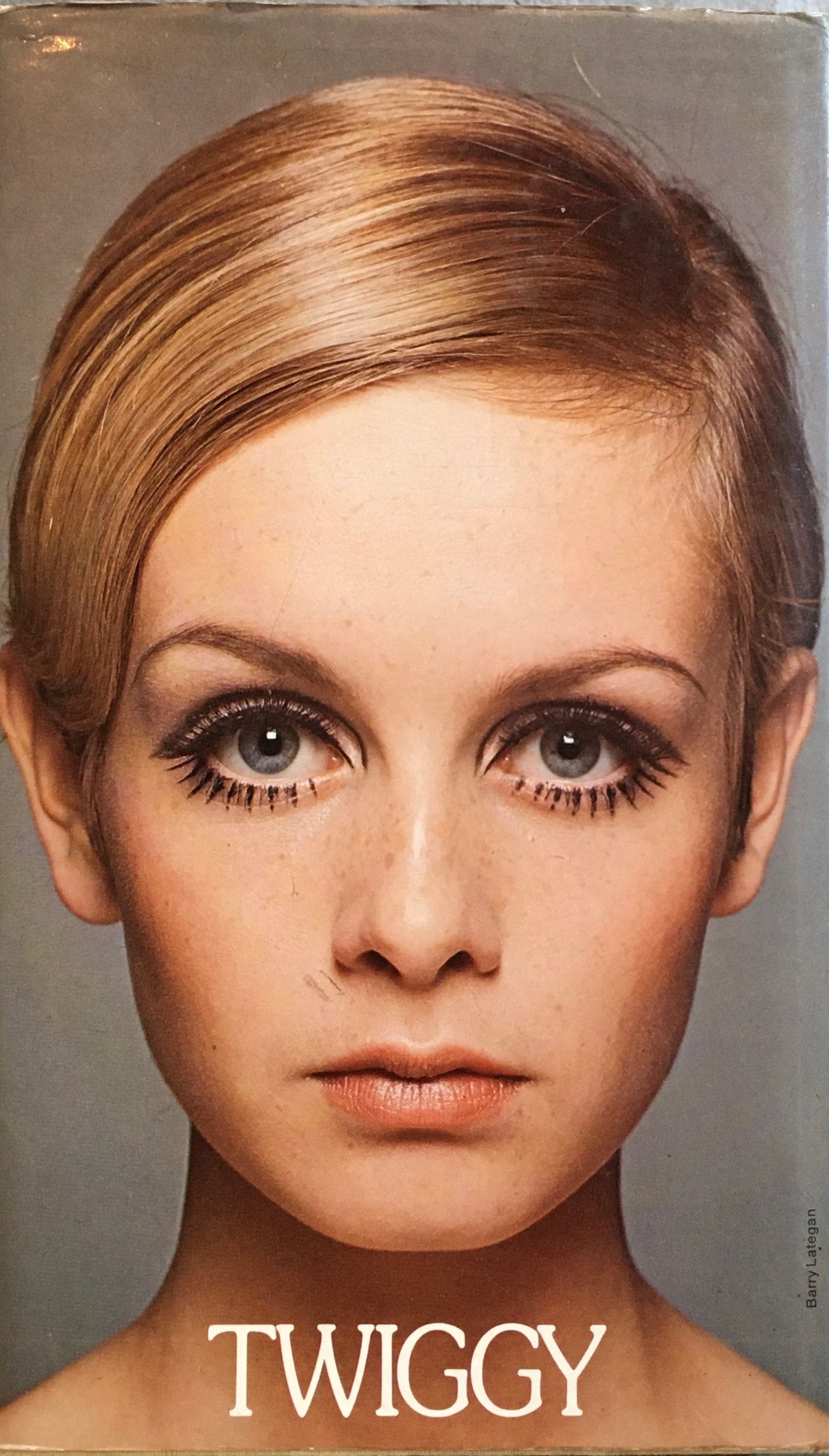 TWIGGY an auto biography