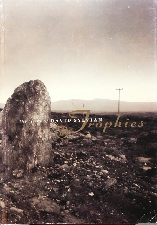 the lyries of DAVID SYLVIAN