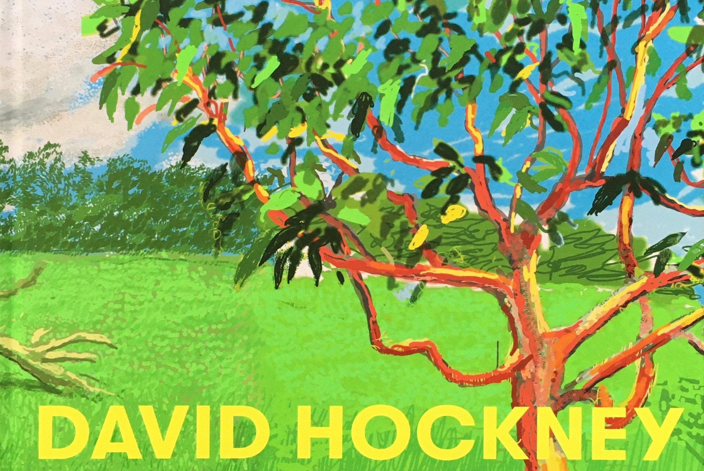 デイヴィッド・ホックニー DAVID HOCKNEY – smokebooks shop