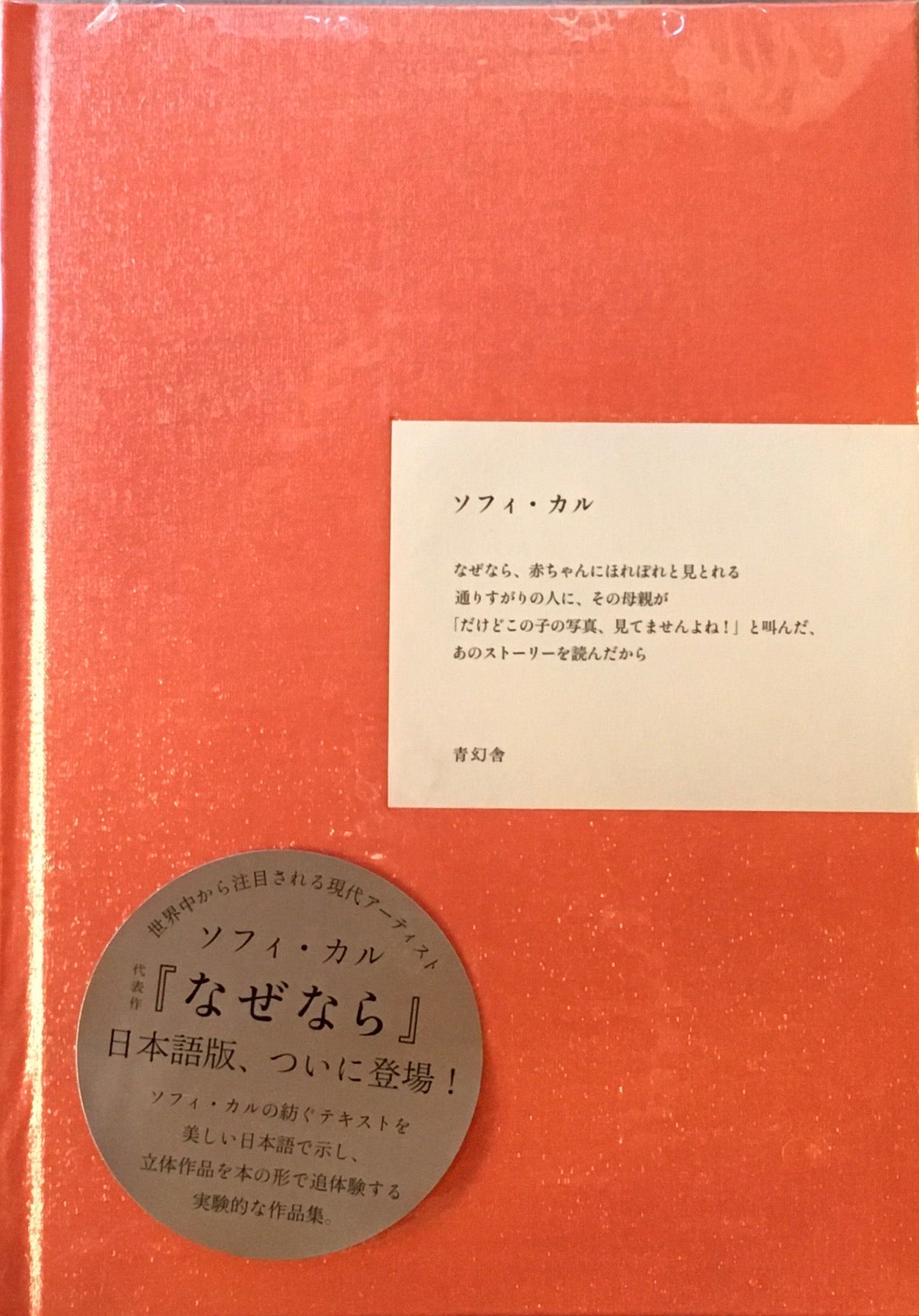 なぜなら　ソフィ・カル