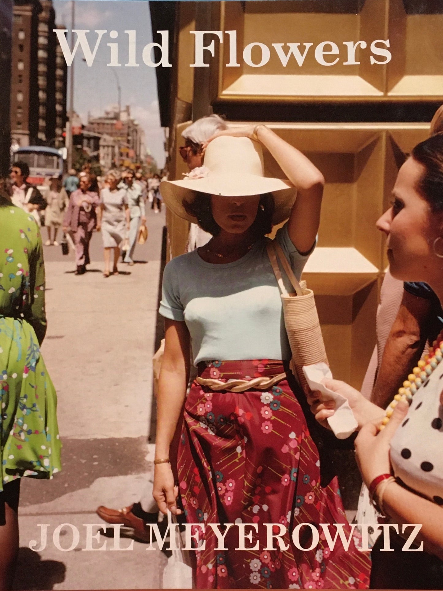 Wild Flowers Joel Meyerowitz　マイヤーウィッツ