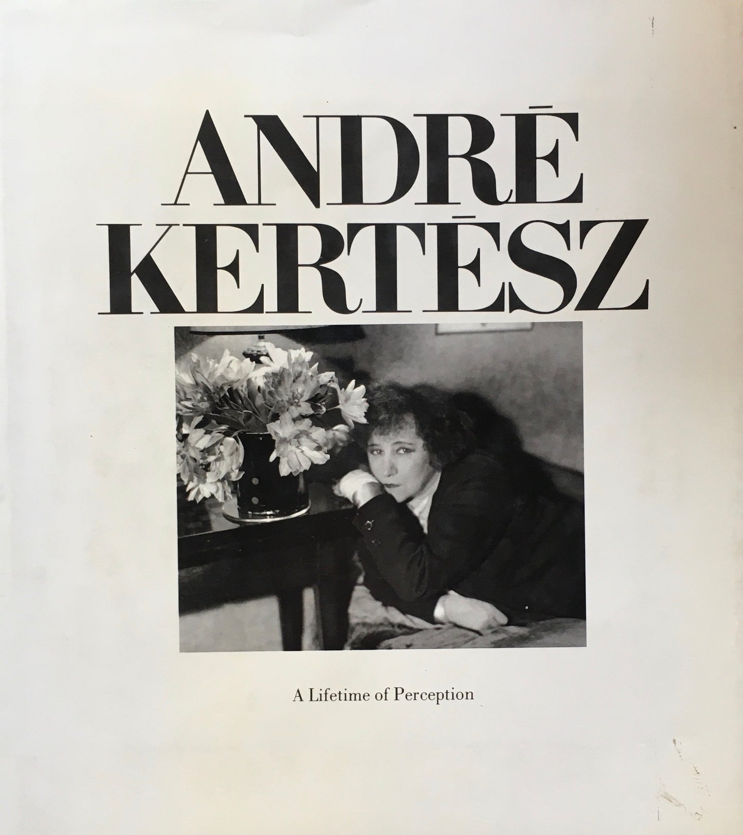 Andre Kertesz A Lifetime of Perception　アンドレ・ケルテス