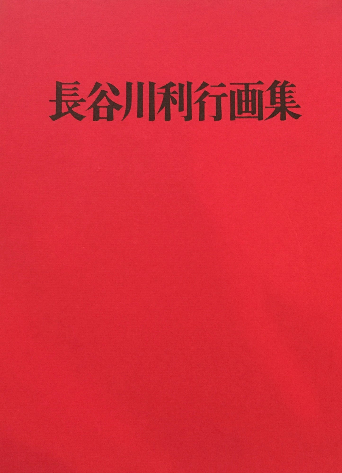 長谷川利行画集