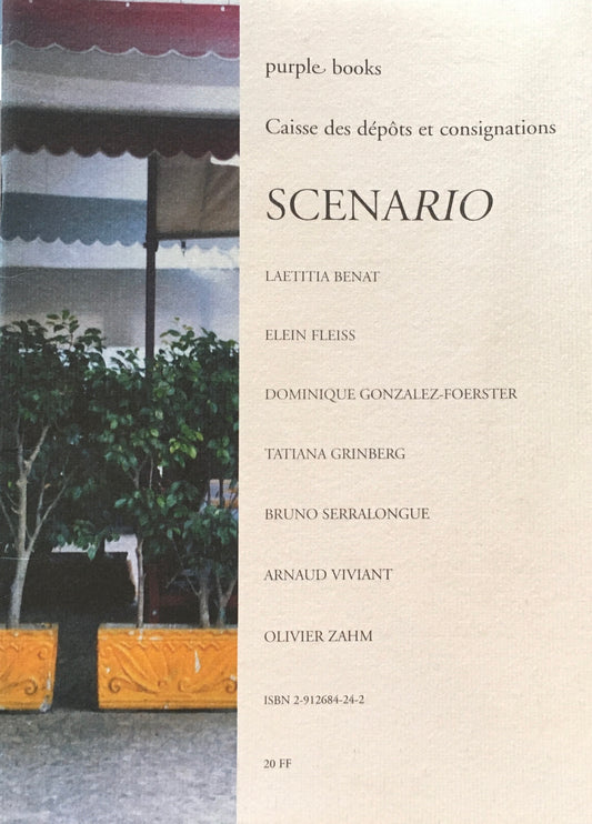 SCENARIO Caisse des depots et consignations purple books