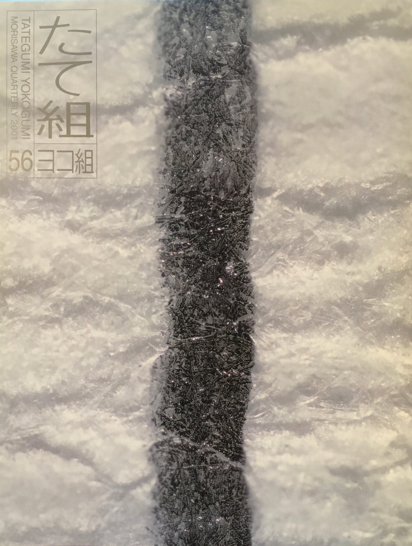 たて組ヨコ組　56号　2001年　地図　イメージと数値のグラフィズム