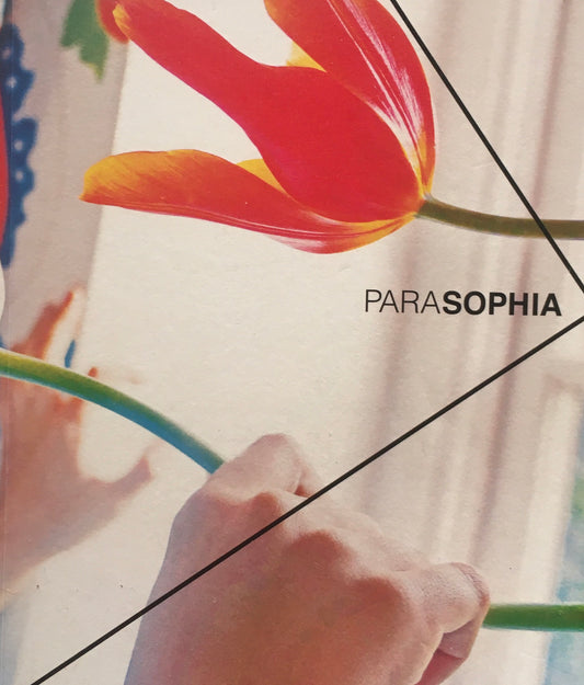 PARASOPHIA: 京都国際現代芸術祭2015