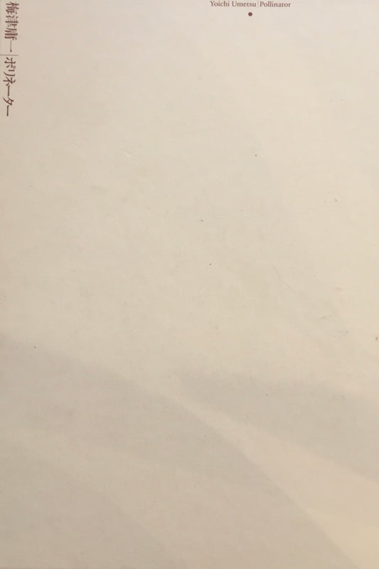 梅津庸一　ポリネーター　　