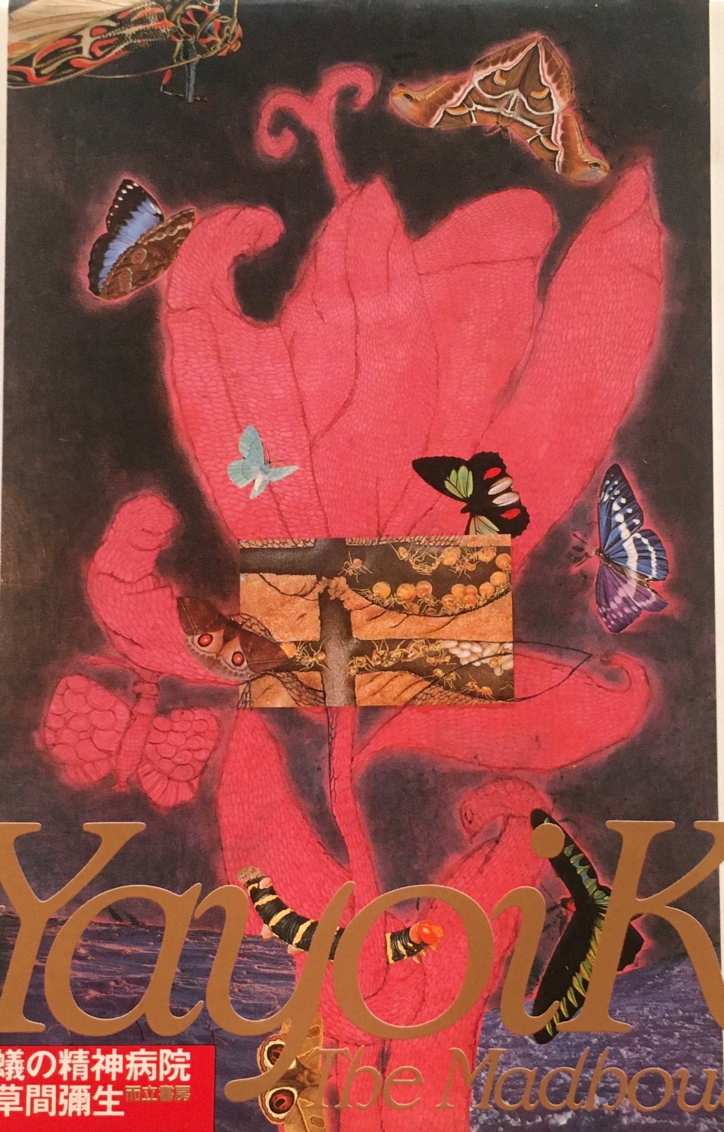 蟻の精神病院　草間彌生