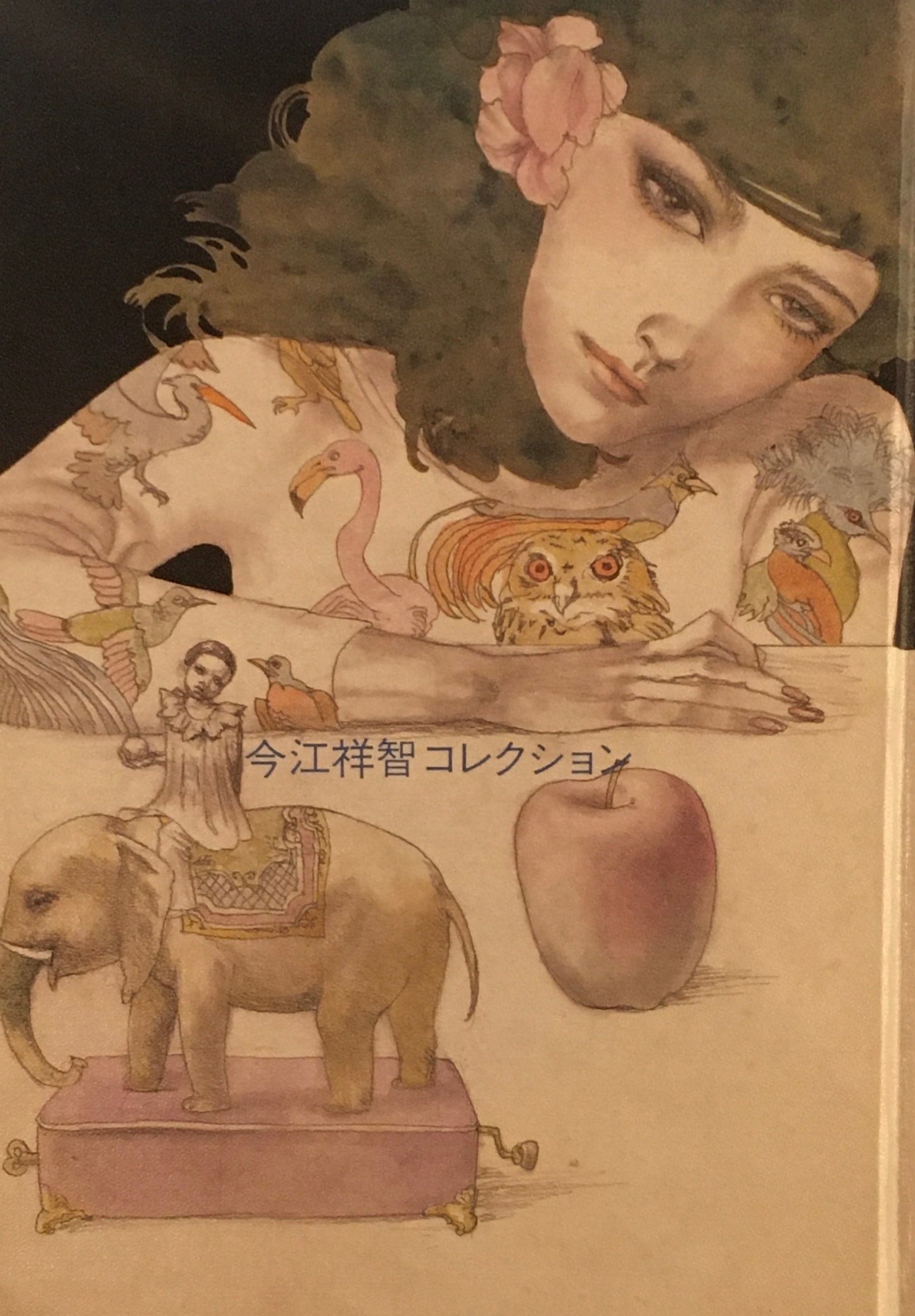 今江祥智コレクション　Imae Yoshitomo Collection