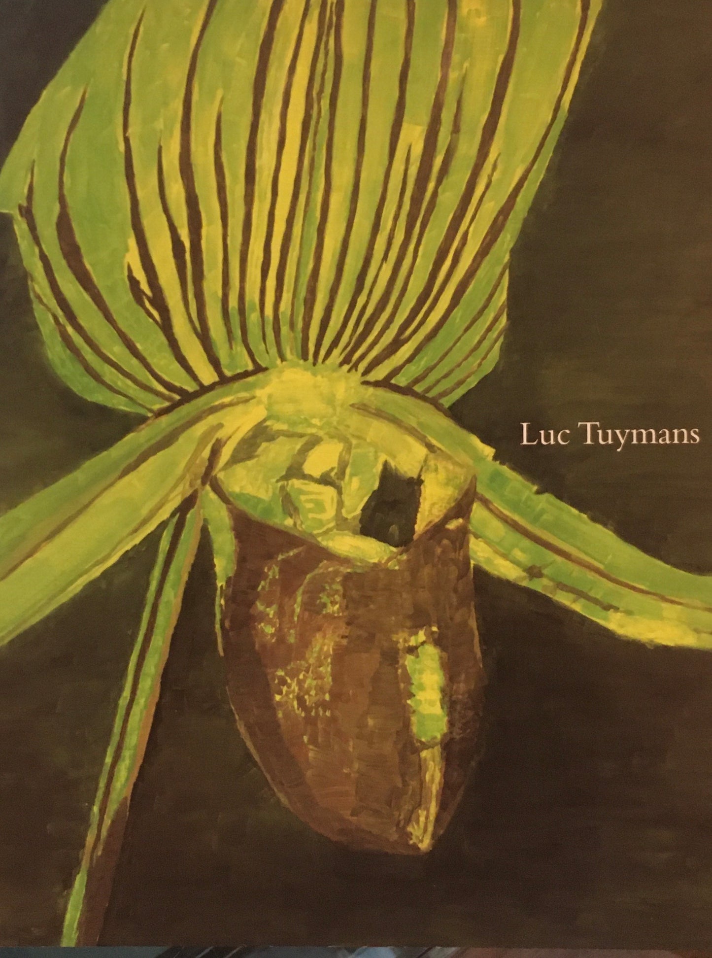 Luc Tuymans Edited by Emma Dexter and Julian Heynen　リュック・タイマンス