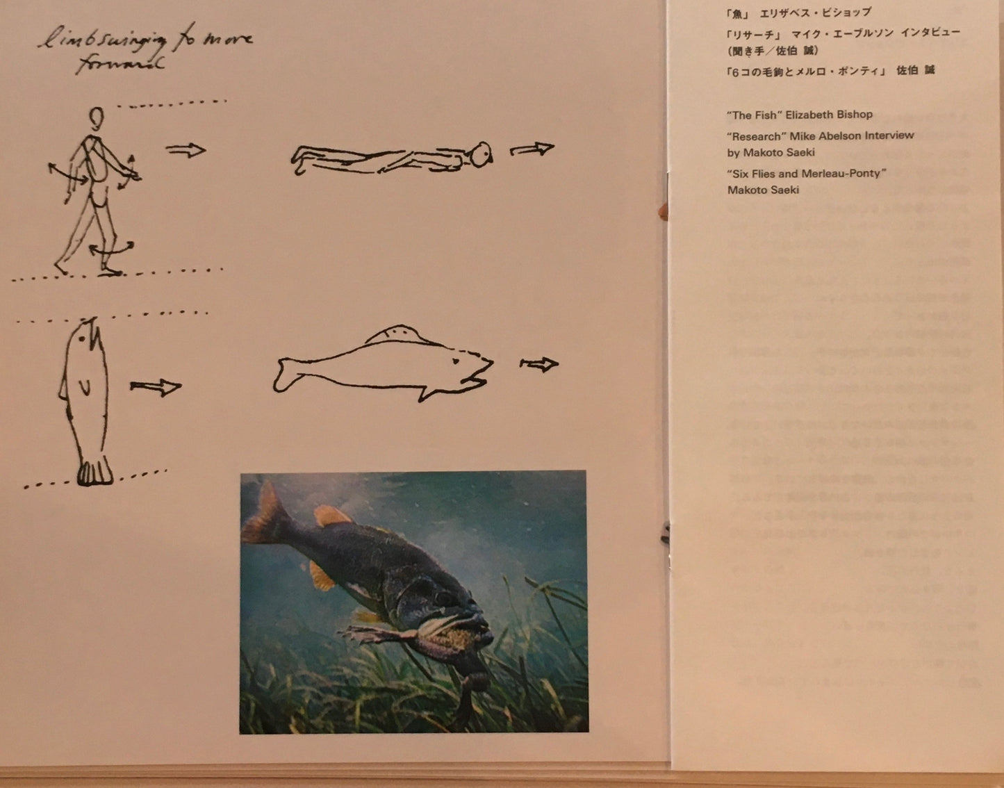 Fish Mounths Mike Abelson　マイク・エーブルソン