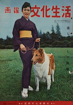 画報　文化生活　楽しい暮しの画報　昭和33年10月号