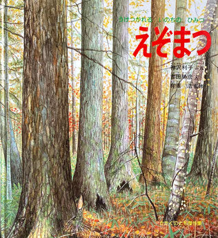 えぞまつ　うけつがれるいのちのひみつ　吉田勝彦　かがくのとも傑作集
