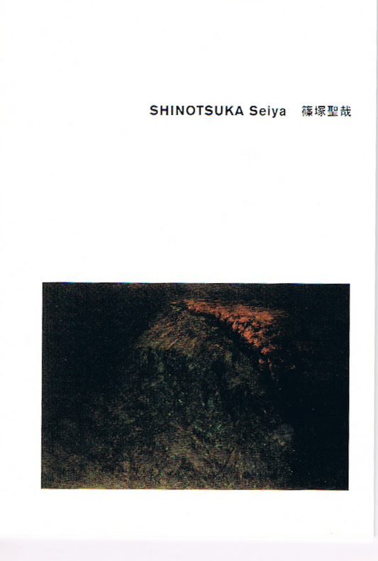 SHINOTSUKA Seiya　篠塚聖哉　 ANDO GALLERY