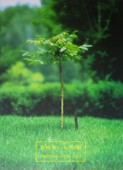 若林奮　くるみの樹　DRAWING 1999-2003 , DAISY ISAMU WAKABAYASHI 1993-1998　2冊セット　トートバック付