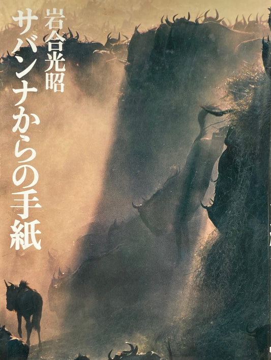 サバンナからの手紙 岩合光昭