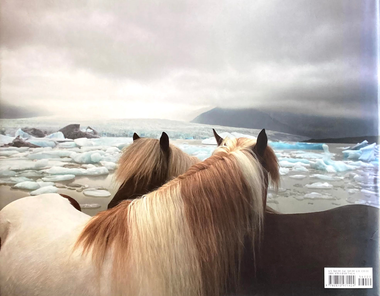 EQUUS　Tim Flach　ティム・フラック写真集