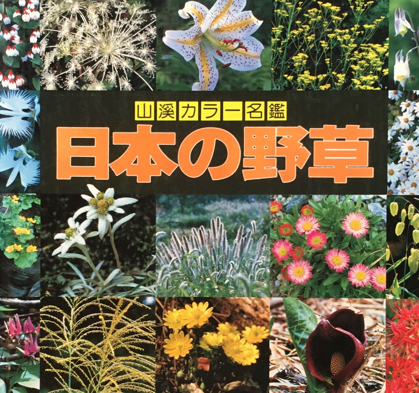 日本の野草　山渓カラー名鑑