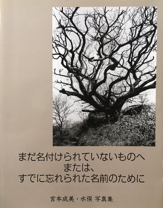 まだ名づけられていないものへ　または、すでに忘れられた名前のために　宮本成美・水俣写真集