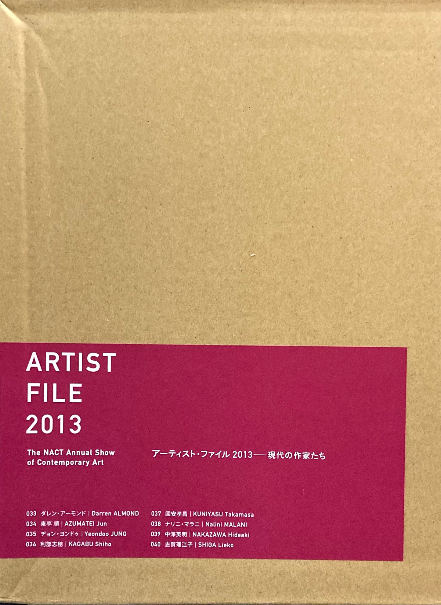 アーティスト・ファイル　2013　現代の作家たち　国立新美術館