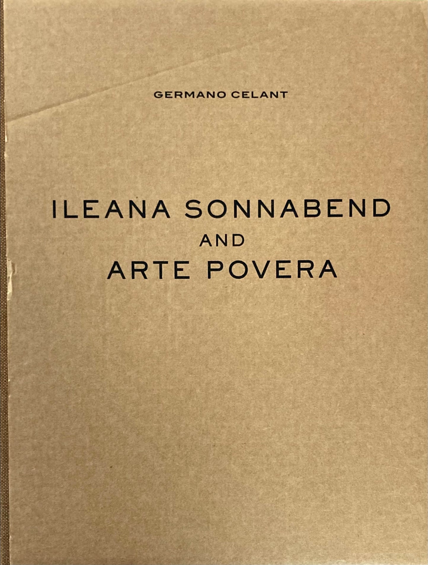 ILEANA SONNABEND AND ARTE POVERA  GERMANO CELANT