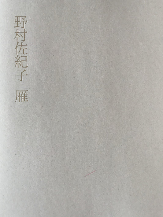 野村佐紀子写真集 雁