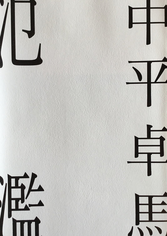 氾濫 中平卓馬写真集