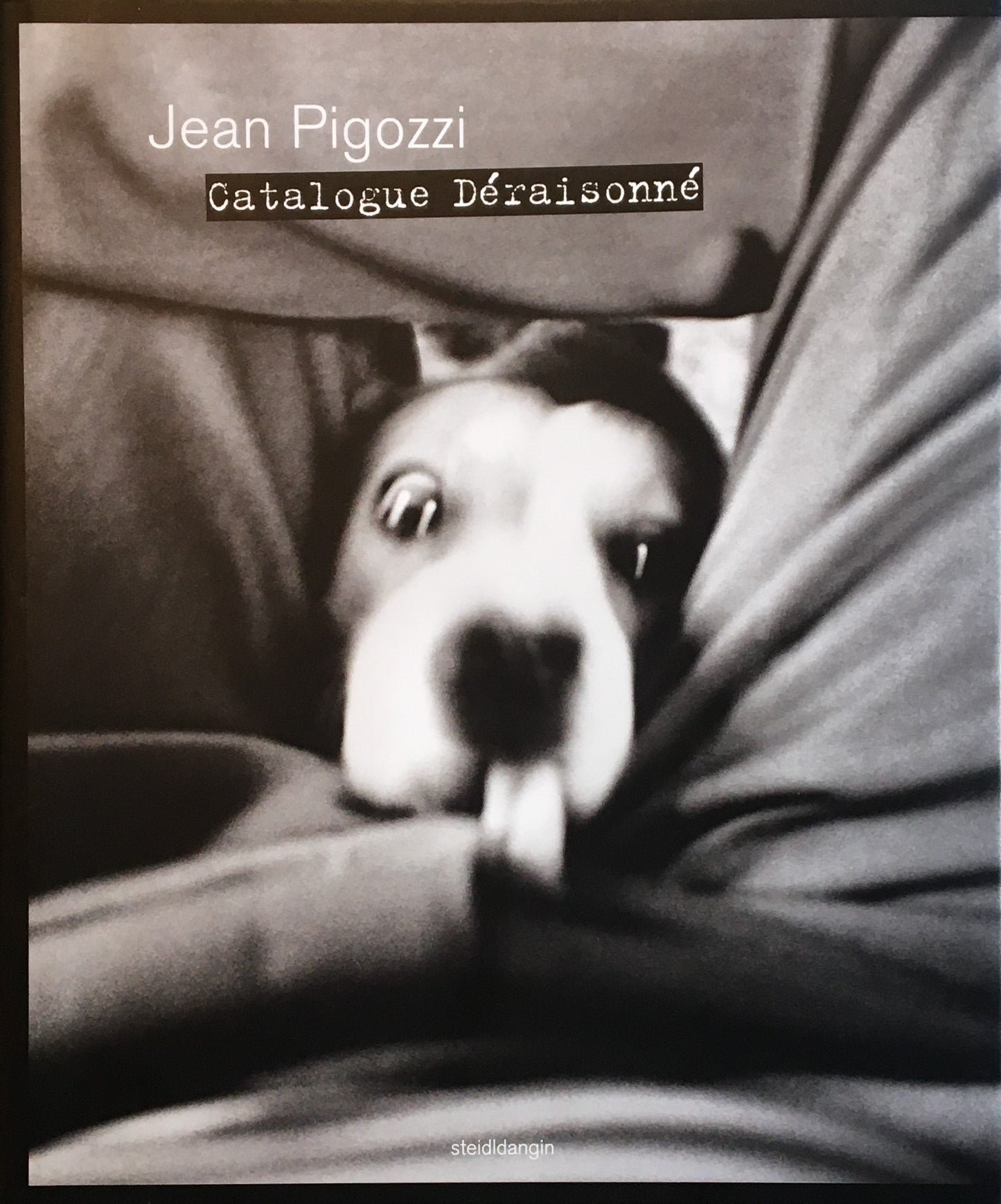 ジャン・ピゴッツィ Jean Pigozzi Catalogue Deraisonne