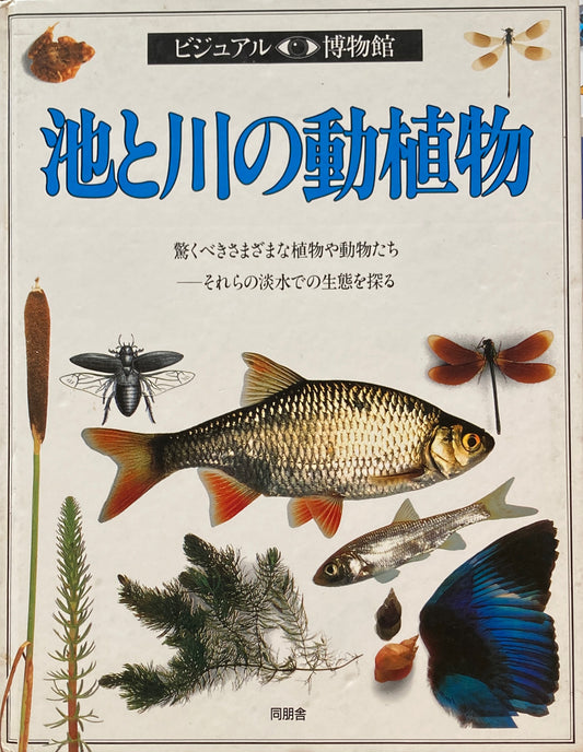 池と川の動植物　ビジュアル博物館　6