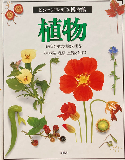 植物　ビジュアル博物館　11