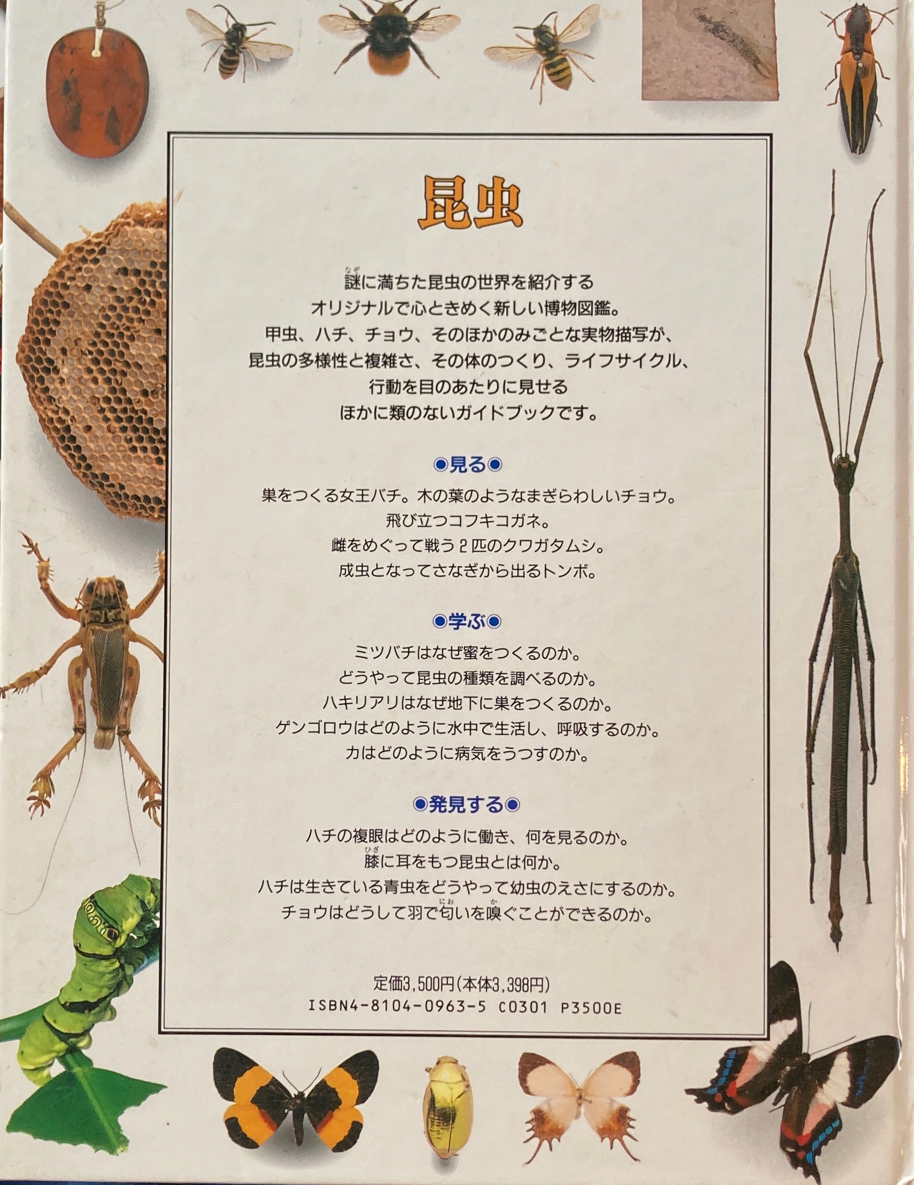 昆虫 ビジュアル博物館 17 – smokebooks shop