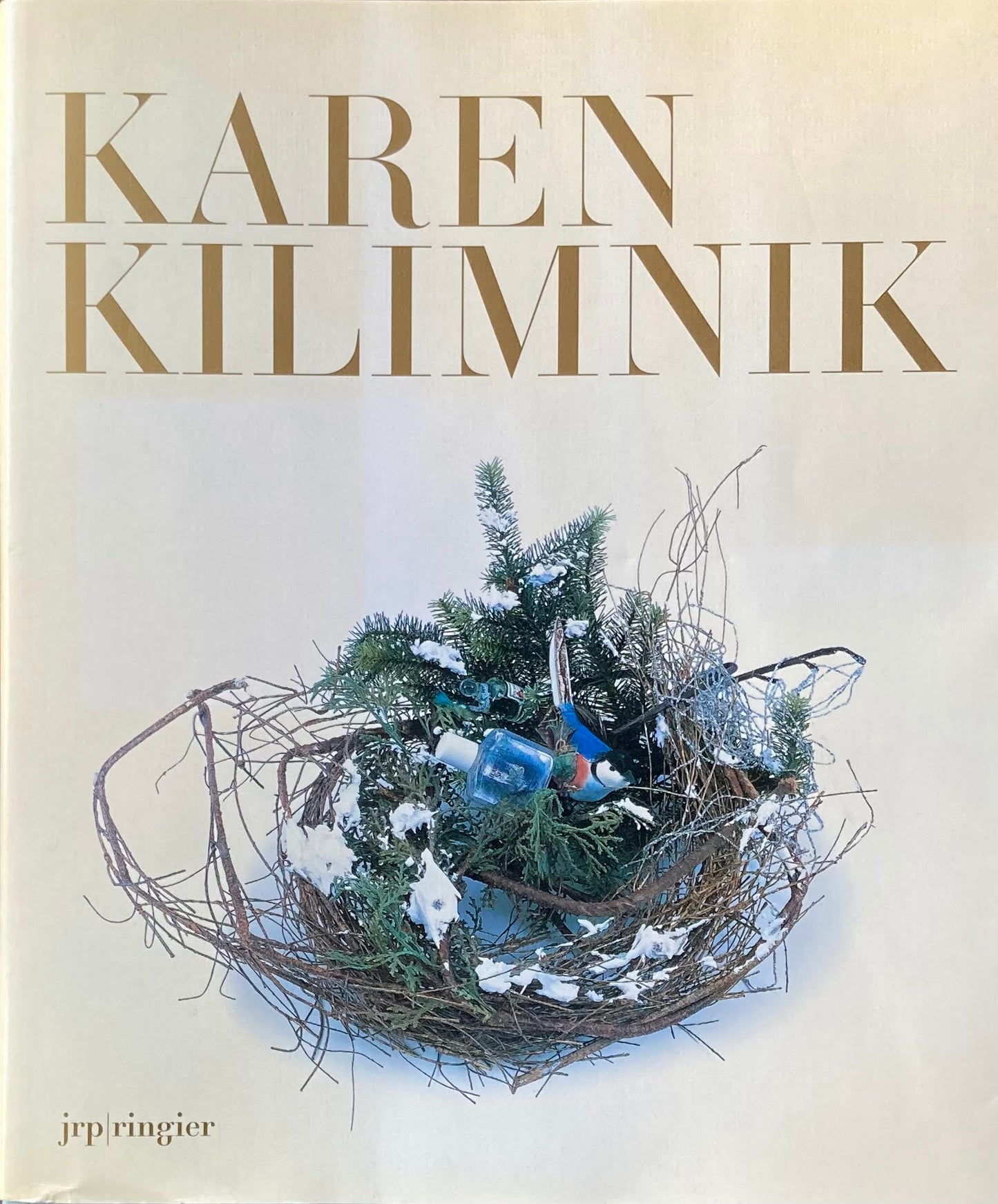 KAREN KILIMNIK 365 days in the year of Karen