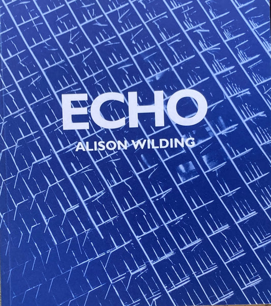 ECHO ALISON WILDING　アリソン・ワイルディング　1995