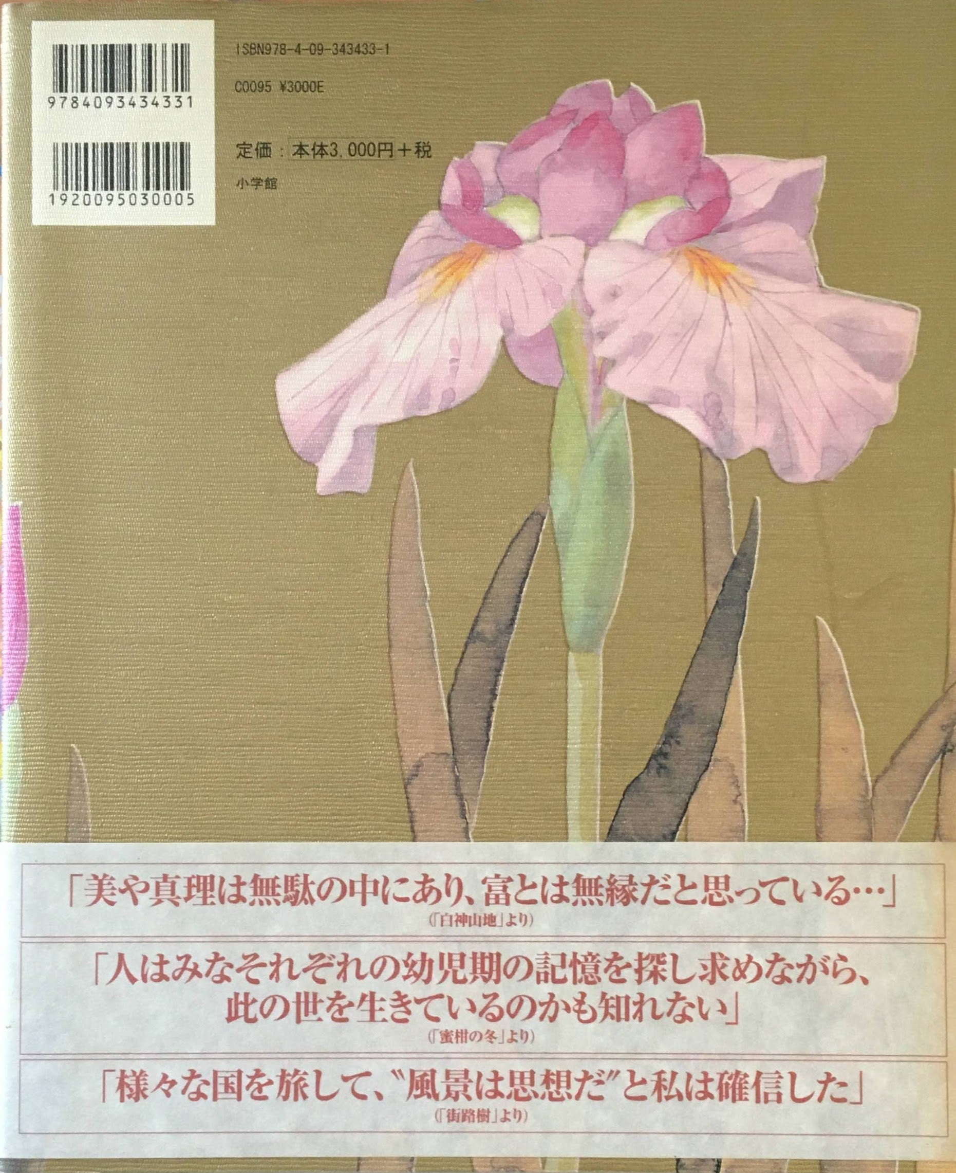 堀文子、【秋の花（菊）】、希少な画集画、新品高級額・額装付、状態 